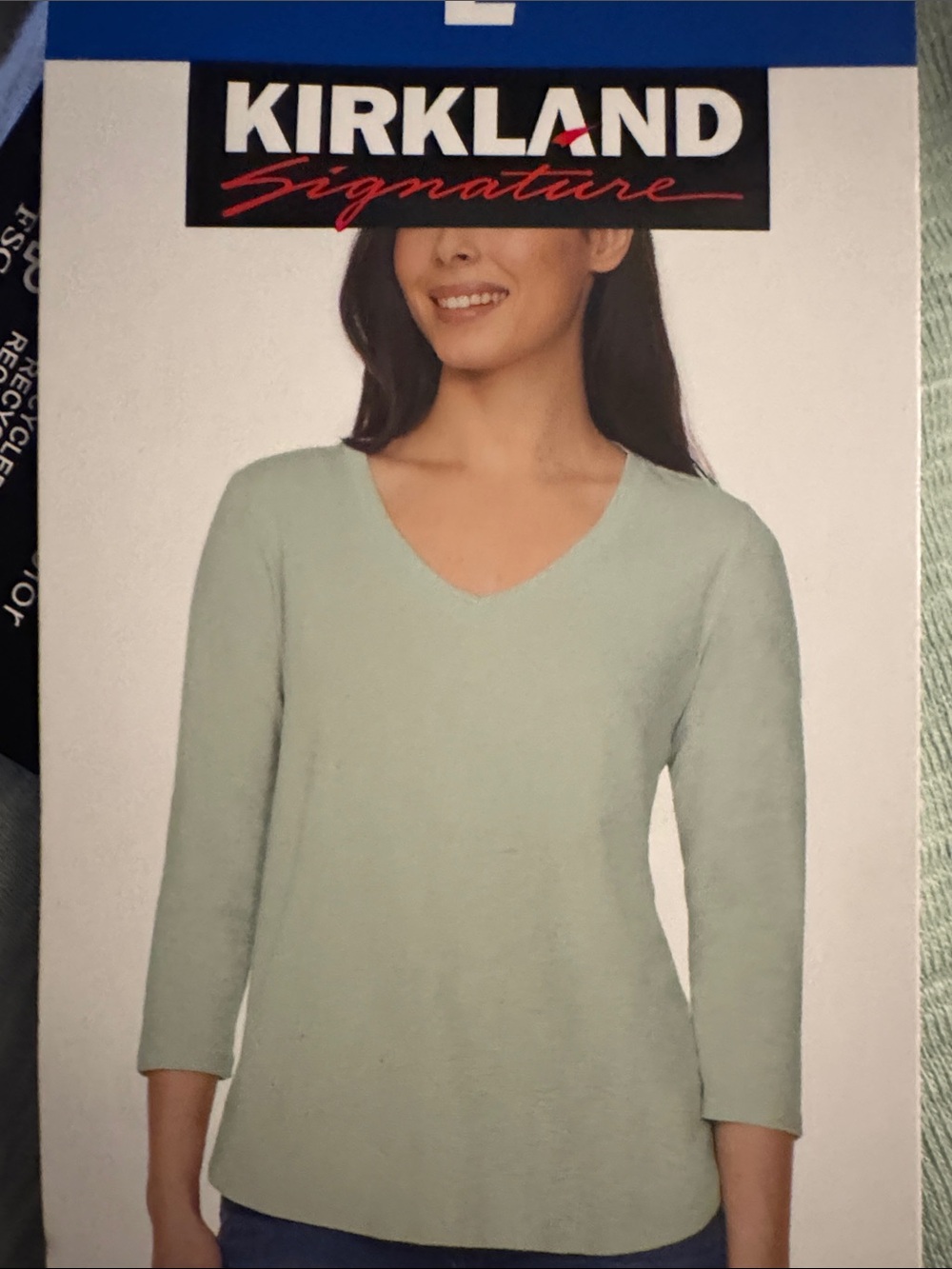 Kirkland Signature Light Mint V-Neck Sweater